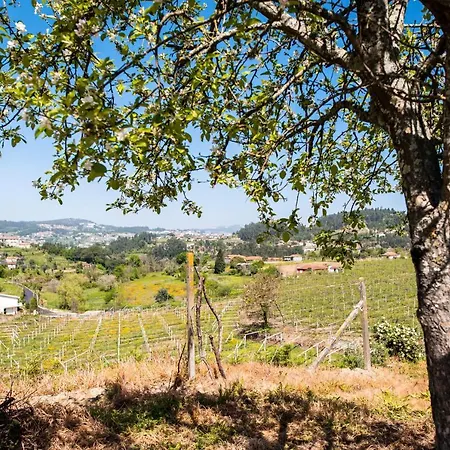 Villa Idyllic In Fornos + Pool! *