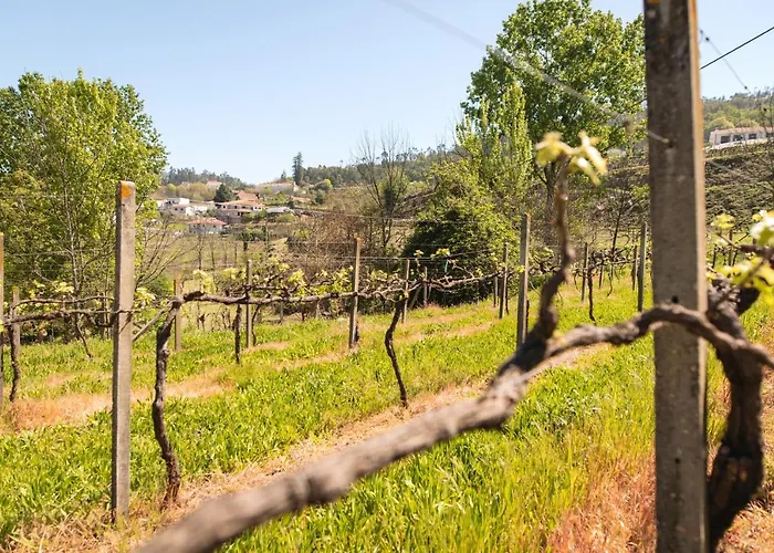 Idyllic In Fornos + Pool! Fornos (Aveiro)